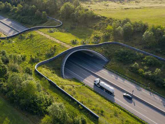 Aerial view of a lush green wildlife overpass crossing over a multi-lane highway with a bridge, representing sustainable infrastructure design, environmental conservation in civil engineering, and safe ecological corridors.