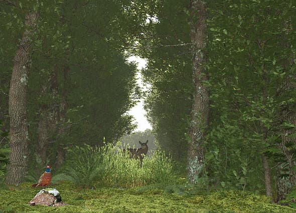 A photorealistic forest clearing environment rendered in e-on software, showing dense oak trees, a pheasant perched on a mossy stone in the foreground, and a deer standing in a grassy path under soft dappled sunlight.