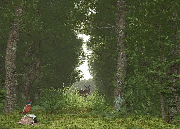 A photorealistic forest clearing environment rendered in e-on software, showing dense oak trees, a pheasant perched on a mossy stone in the foreground, and a deer standing in a grassy path under soft dappled sunlight.