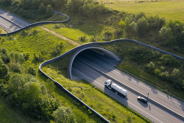 Aerial view of a lush green wildlife overpass crossing over a multi-lane highway with a bridge, representing sustainable infrastructure design, environmental conservation in civil engineering, and safe ecological corridors.