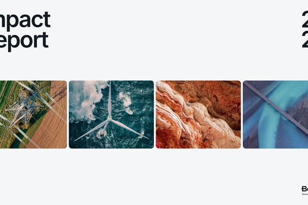 Impact Report cover with stock image nature collage