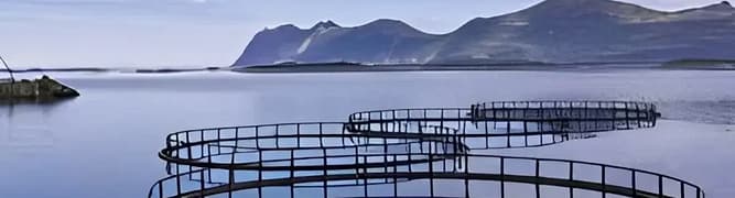 A view of fish farming pens in a calm bay, an image representing the aquaculture industry where Pentair has cut its design time in half by adopting a 3D design methodology.
