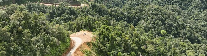 forest road