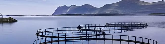 A view of fish farming pens in a calm bay, an image representing the aquaculture industry where Pentair has cut its design time in half by adopting a 3D design methodology.