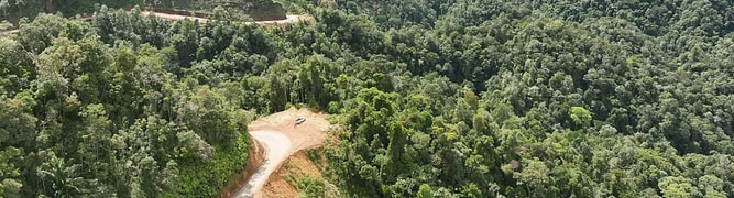forest road