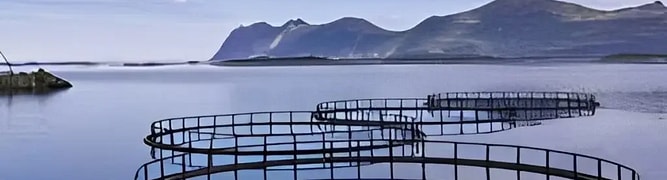 A view of fish farming pens in a calm bay, an image representing the aquaculture industry where Pentair has cut its design time in half by adopting a 3D design methodology.