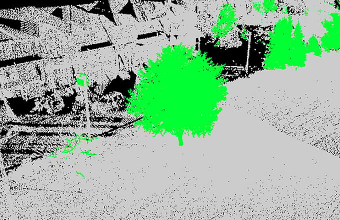Trees