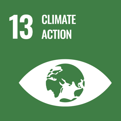 Zielone oko z napisem 13 działania w dziedzinie klimatu.