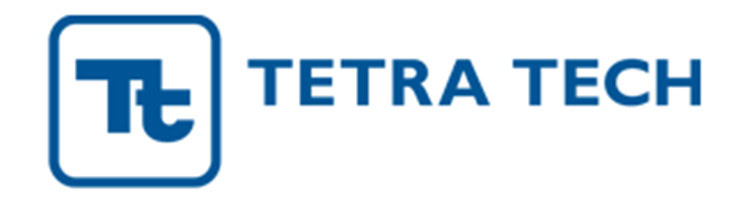 Tetra Tech logo with a stylized "Tt" inside a blue square, followed by the company name "TETRA TECH" in blue text.