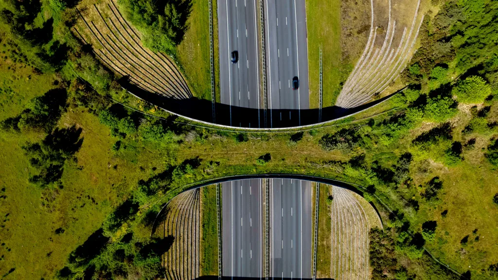 Aerial view of a highway with two separated roadways, each with minimal traffic, crossing through a green, landscaped area with dense vegetation on both sides.