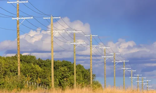 Wooden utility poles run through a rural field with tall grass