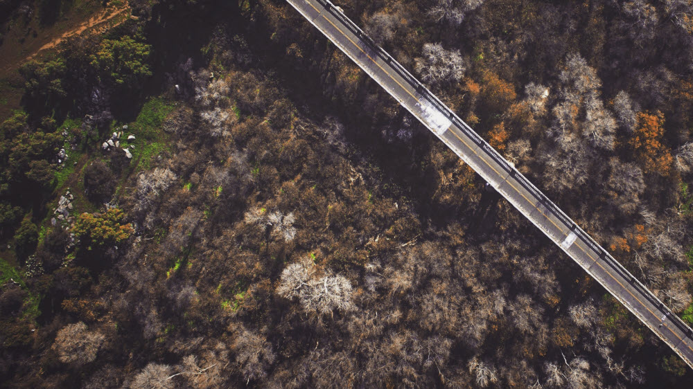A straight road, vital for geotechnical operations, cuts through a dry, brown forest with sparse green patches, viewed from above.