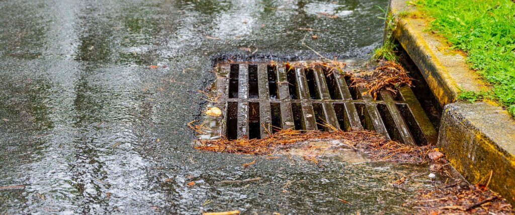 A roadside storm drain partially clogged with leaves and debris during a rainy day.