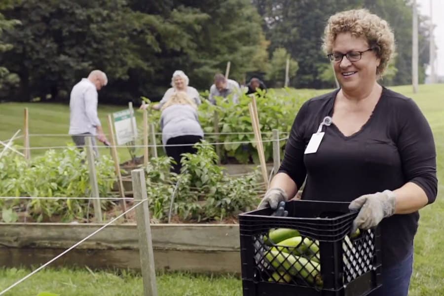 Colegas da Bentley se voluntariando em um jardim