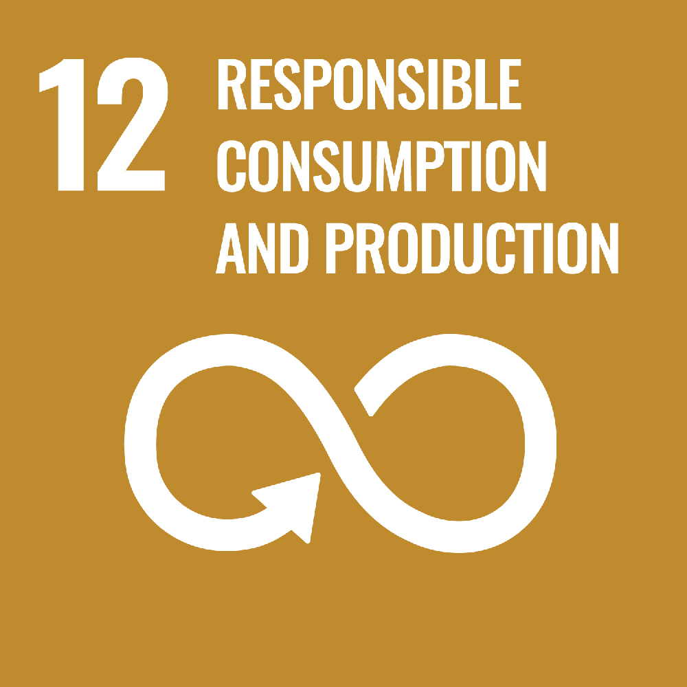 Objectif de développement durable 12 Consommation et production durables.