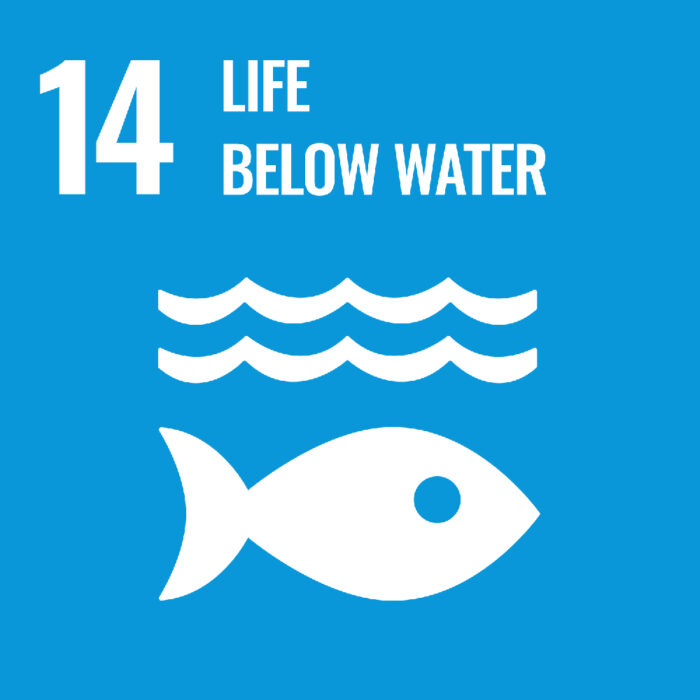 Logotipo da meta 14 do ODS: vida abaixo da água.