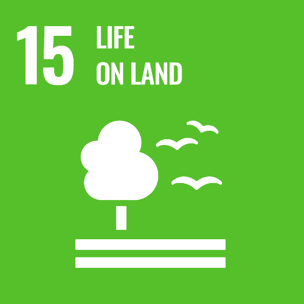 Logotipo da meta 15 do ODS: vida na terra.