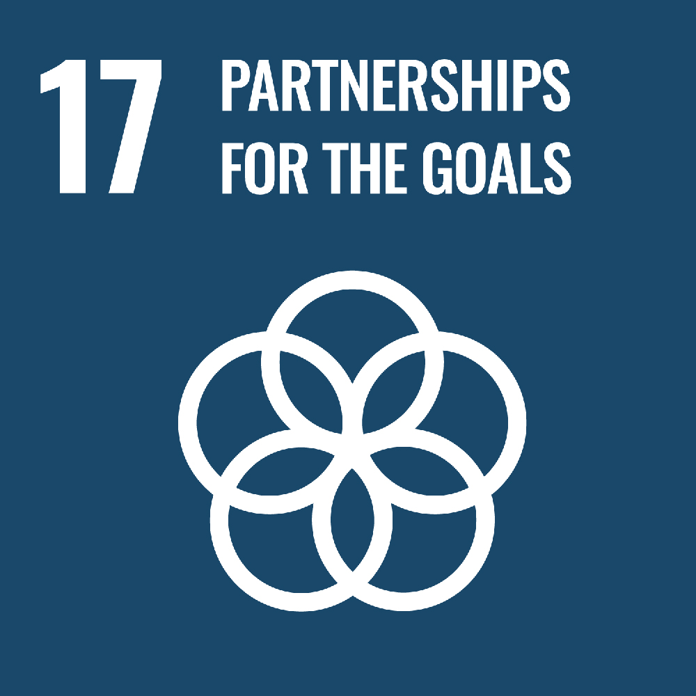 SDG目標 17 パートナーシップで目標を達成しよう