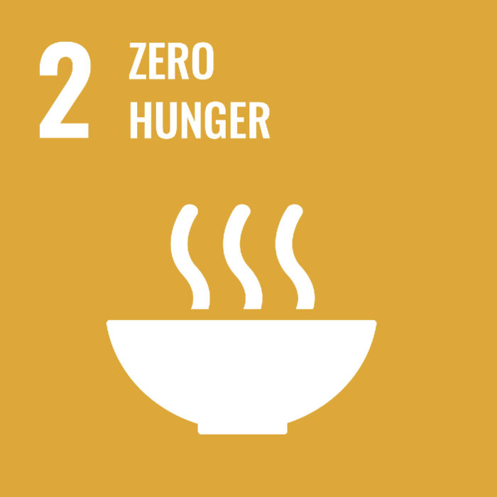SDG Goal A bowl of soup with the words 2 zero hunger.