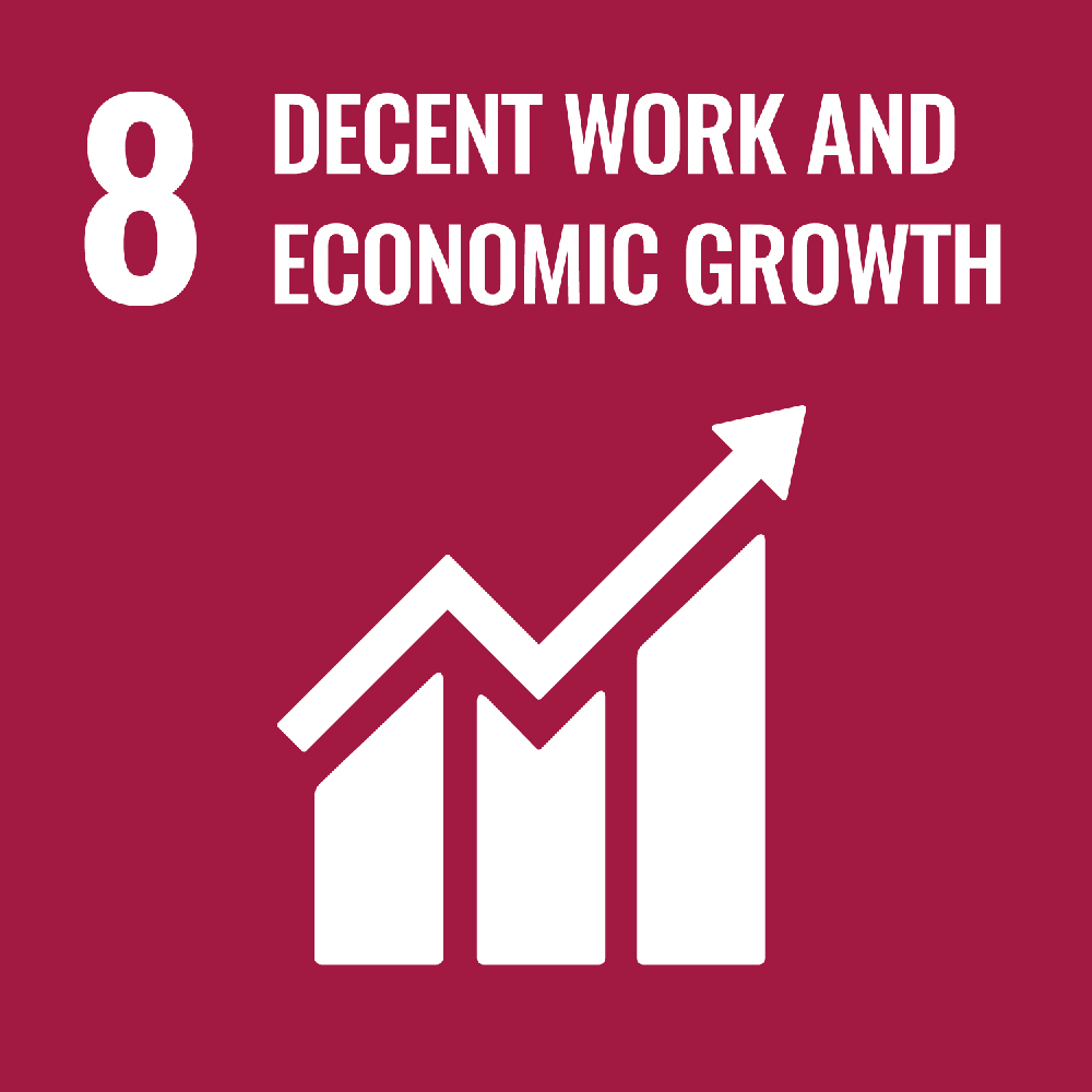 SDG-Ziel 8, menschenwürdige Arbeit und Wirtschaftswachstum.