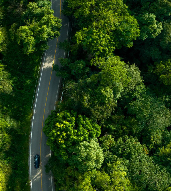 Aerial view of a car navigating the winding road, showcasing impressive transportation infrastructure amidst the dense green forest.
