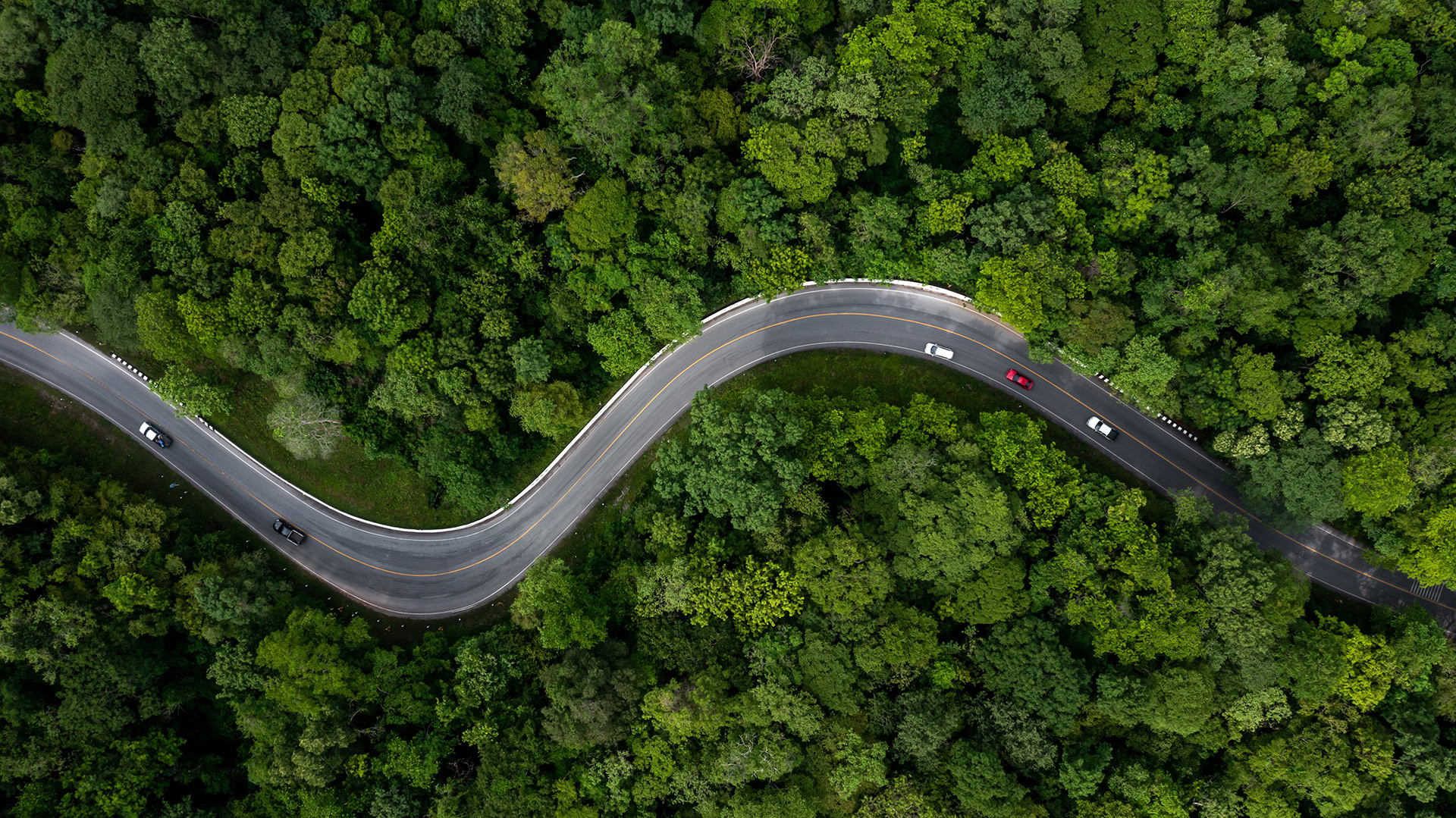 Aerial view of a winding road, crafted with MicroStation precision, cutting through dense green forest, with a few cars traveling in both directions.