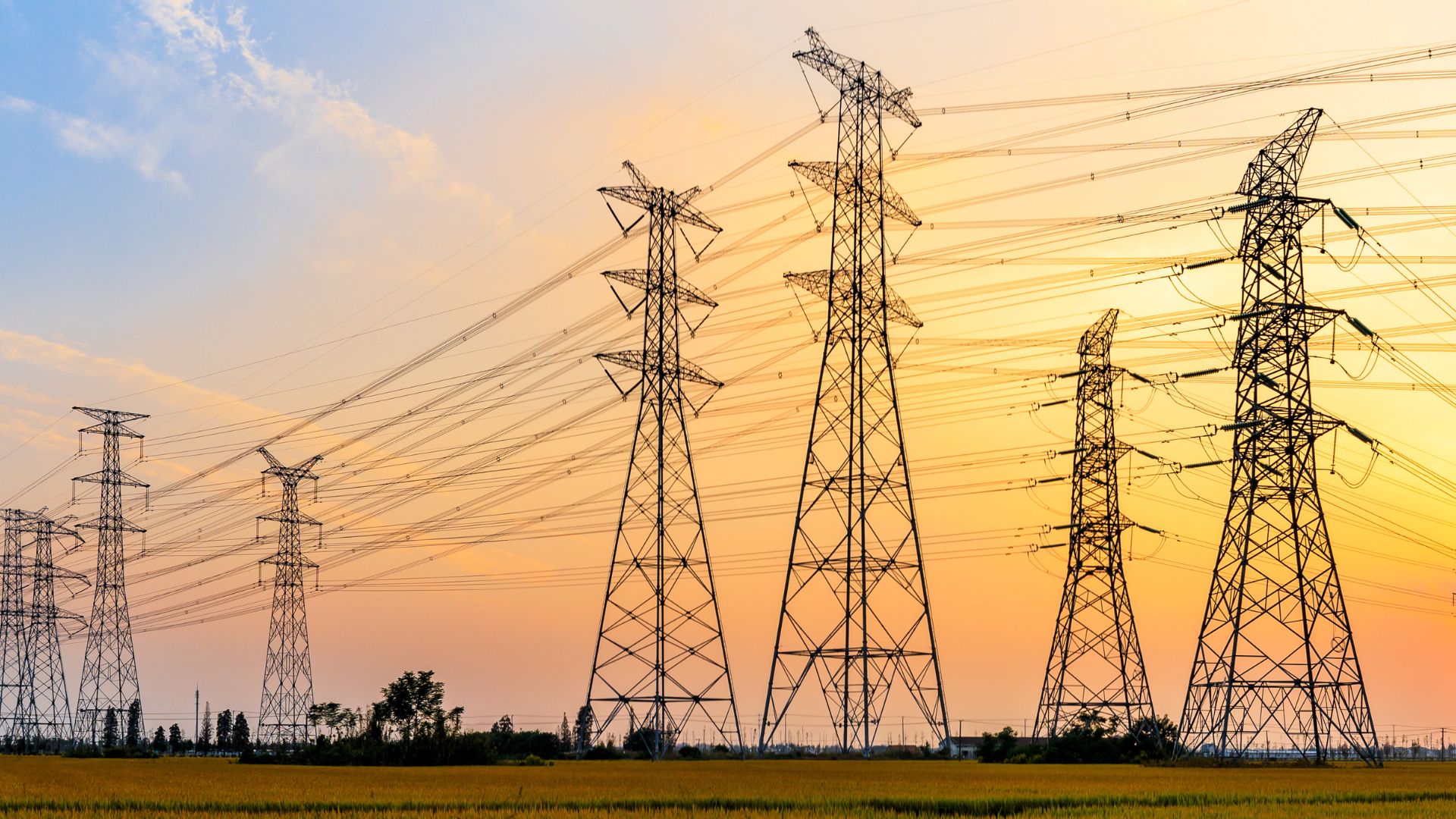 High-voltage electricity transmission towers with power lines stretch across a field at sunset.