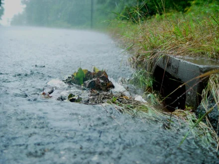 A heavy rainfall causes water to flow along a street, partially blocked by leaves and debris near a storm drain. This scenario is often analyzed in Storm and Sewer Modeling with tools like OpenFlows, as demonstrated in our introduction video.