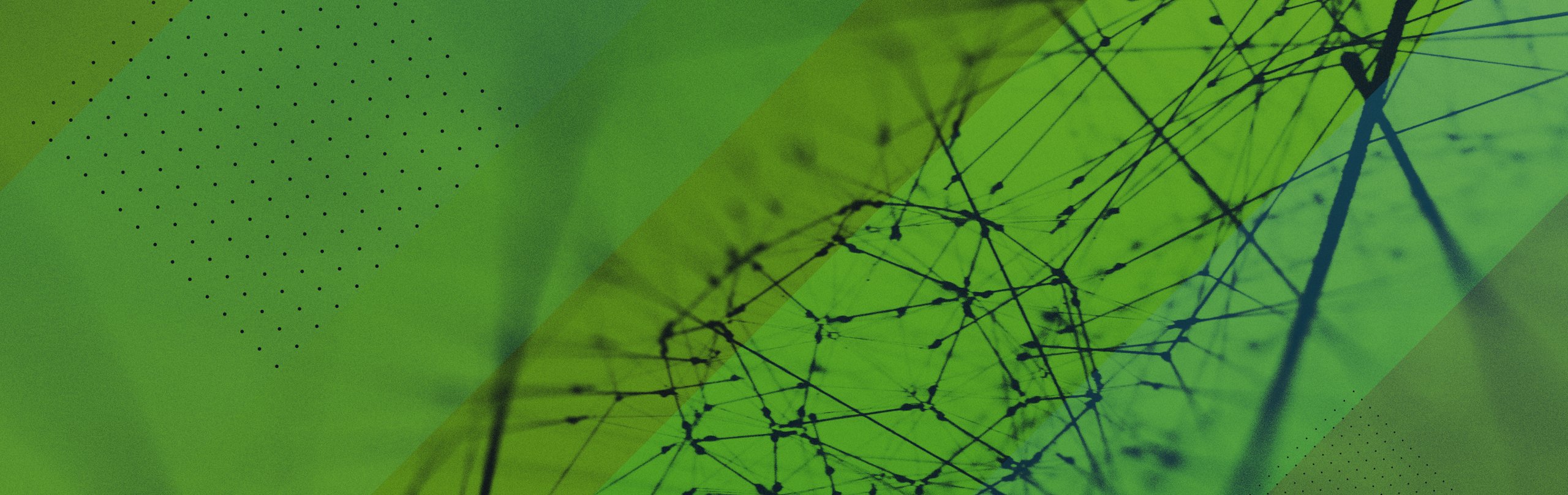SPIDAcalc header