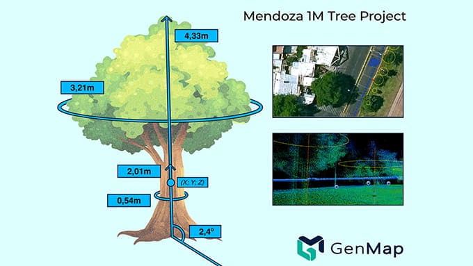メンドーサの樹木プロジェクトが示されたグラフィック