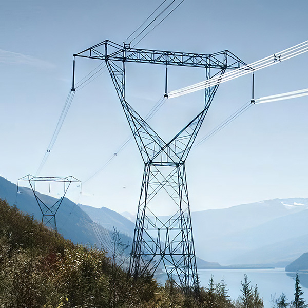 Electricity pylons, operated by BC Hydro, against a backdrop of mountains and a lake.