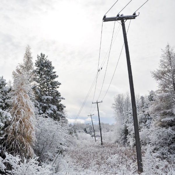 A column of power lines stretching through a snowy landscape with frost-covered trees.