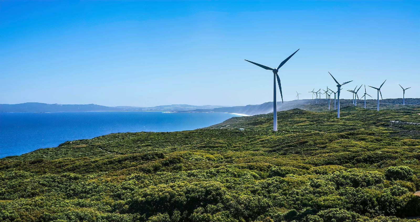 windmills lined along an ocean cliff on a sunny da7